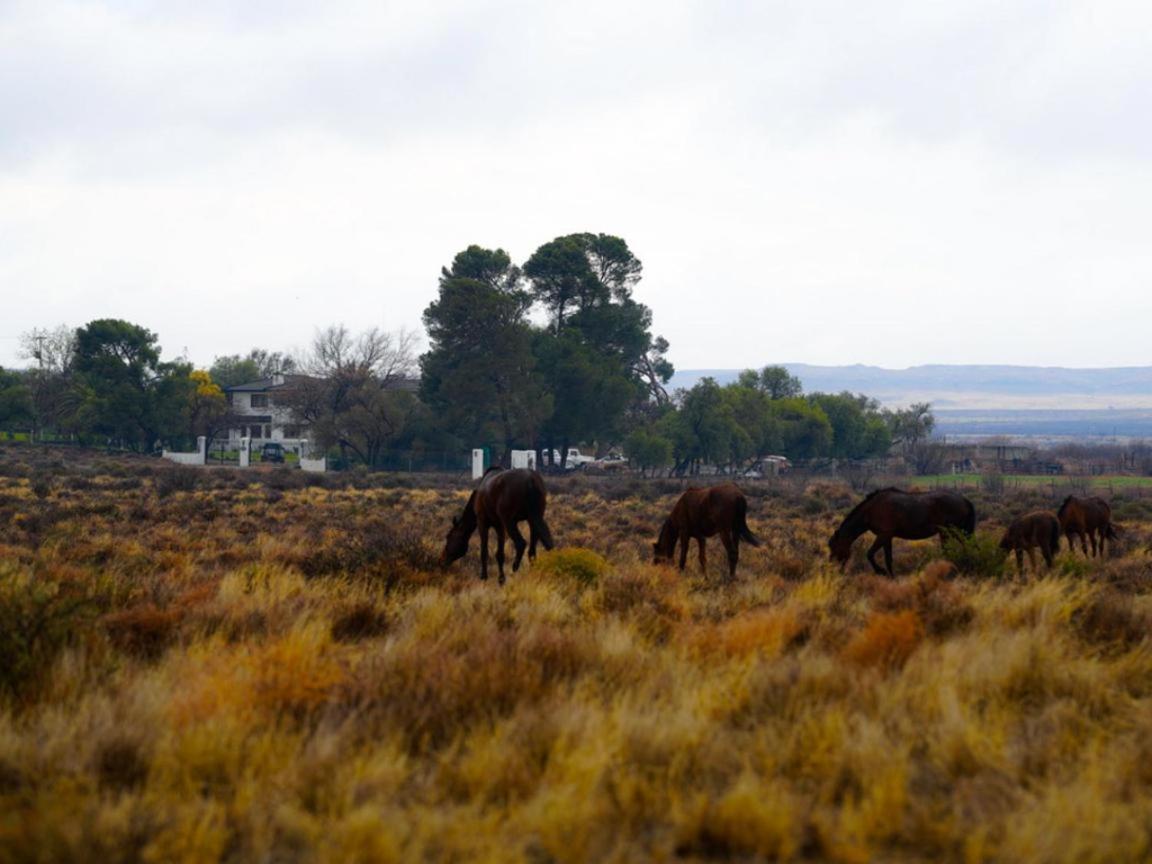 Dellville Country House & Cottages Carnarvon Buitenkant foto